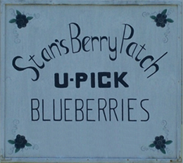 Stansberrypatch U-pick Blueberries.